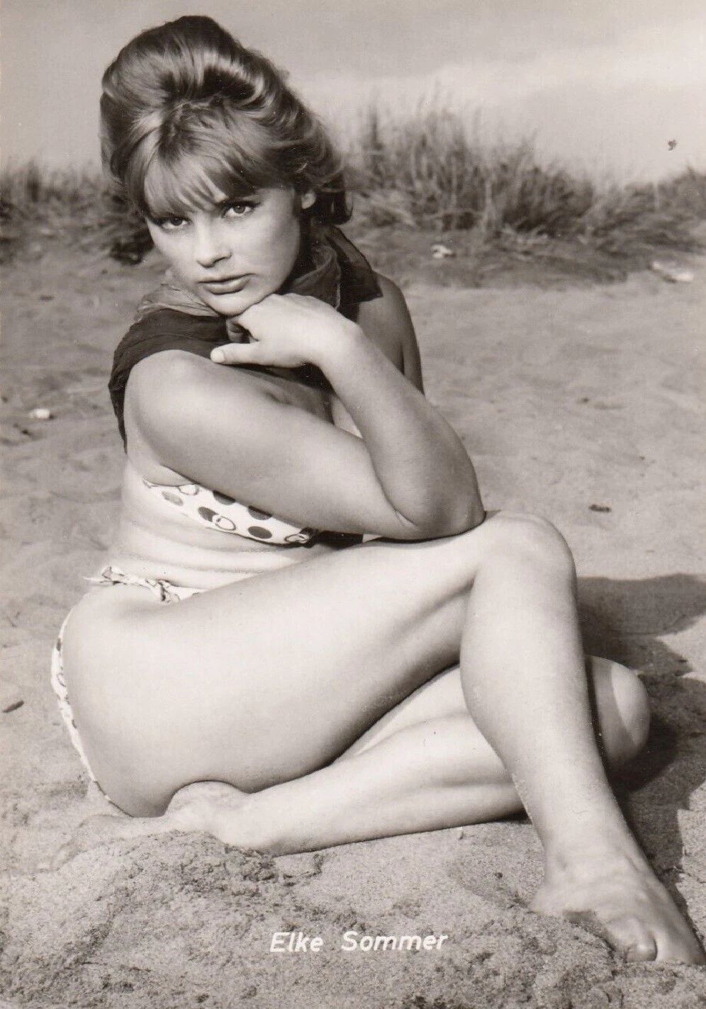 Actress Elke Sommer Classic Pin Up Publicity Picture Magnet Magnet Print