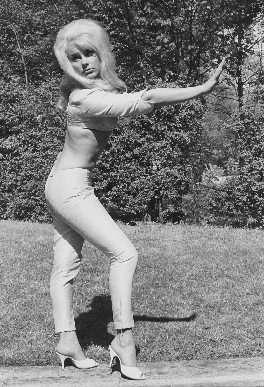 Actress Elke Sommer Vintage Pin Up Publicity Picture Magnet Magnet Print