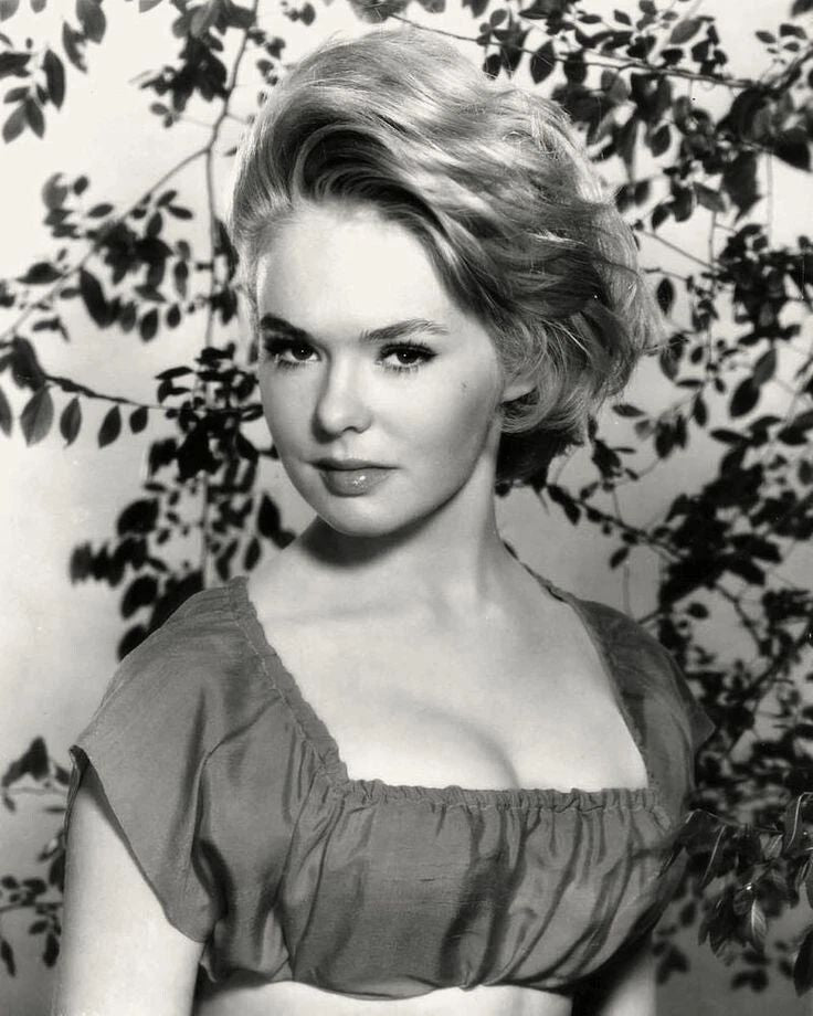 Actress Joey Heatherton Historic Vintage Picture Poster Photo Print