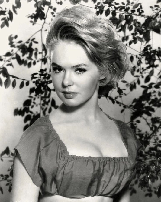 Actress Joey Heatherton Historic Vintage Picture Poster Photo Print