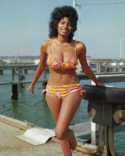 Actress Pam Grier In A Bikini On The Docks Retro Magnet Magnet
