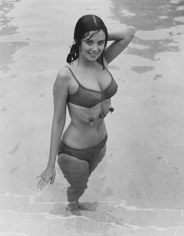 Actress Phyllis Davis In The Big Bounce Magnet Picture Magnet Print