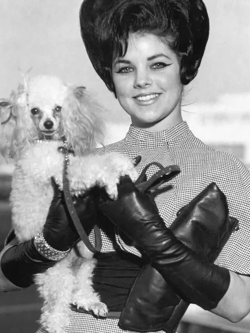 Actress Priscilla Presley Publicity Picture Keychain Print