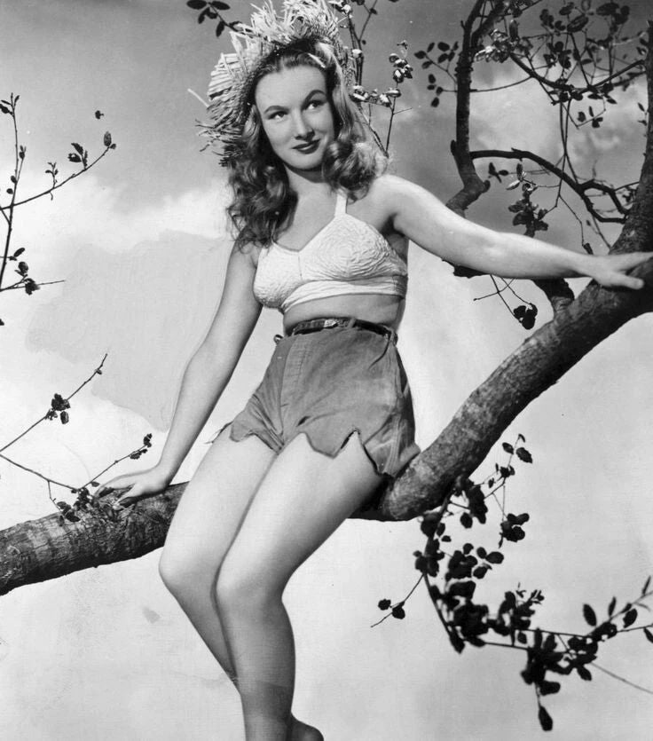 Actress Veronica Lake Retro Publicity Picture Poster Photo Print