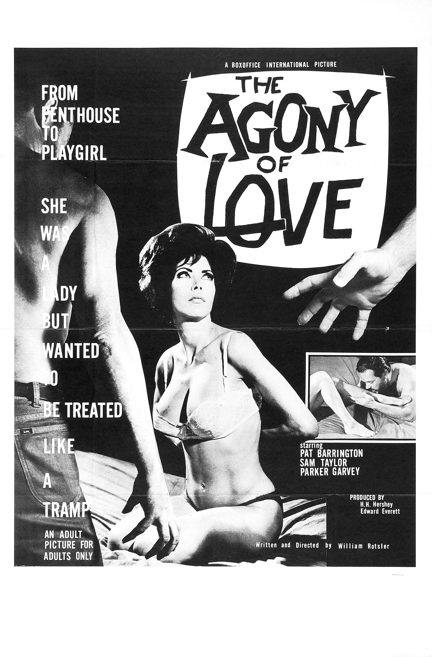 Agony Of Love 01 Movie Magnet