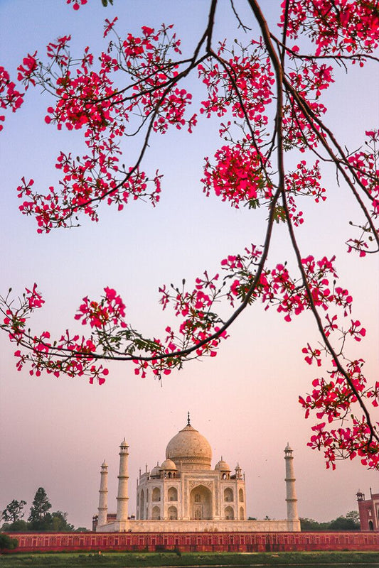 Agra India Amazing Taj Mahal Mausoleum Art Wall Decor Jigsaw Puzzle