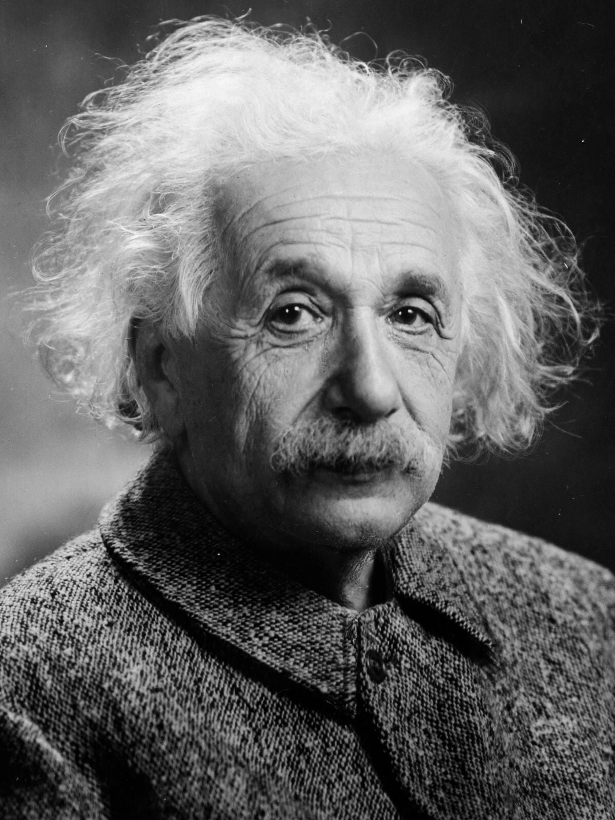 Albert Einstein Historic Scientist Theory Relativity Picture Magnet Print