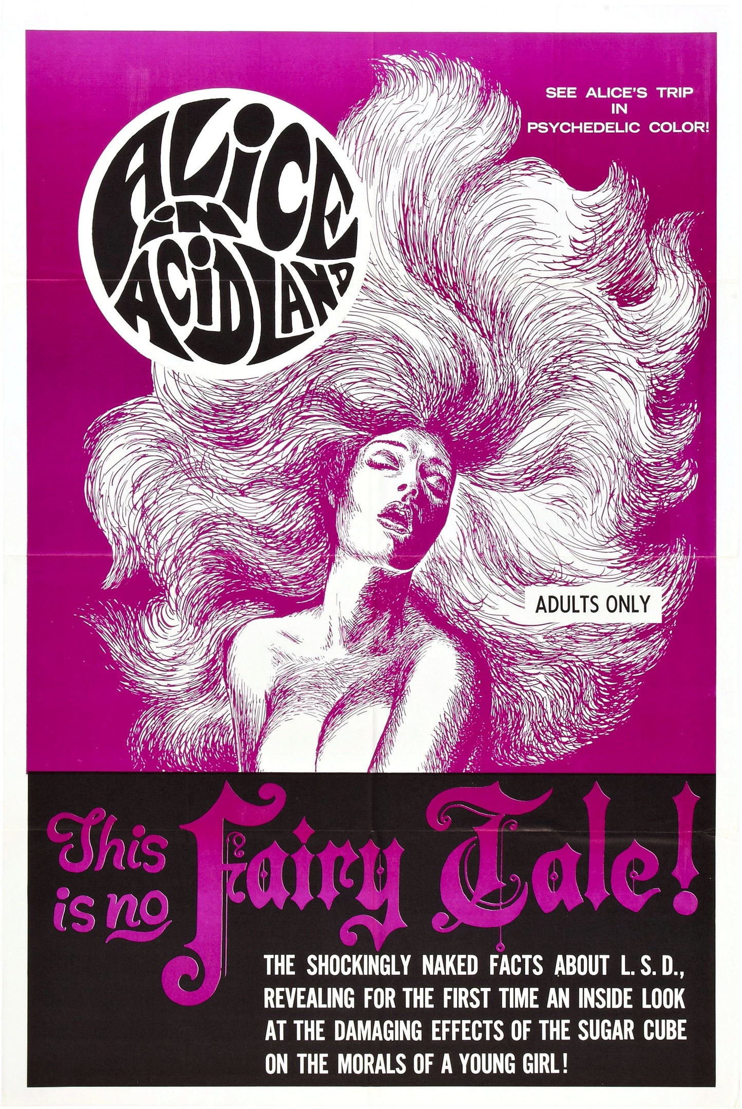 Alice In Acidland 01 Movie Magnet