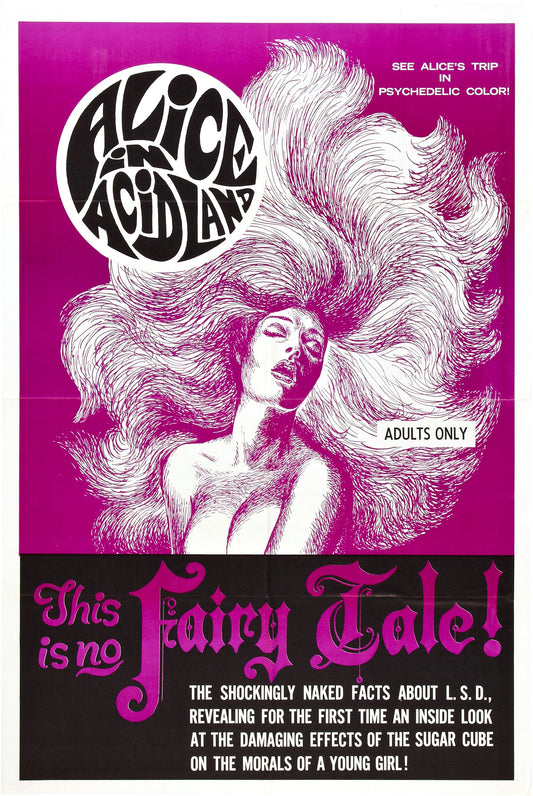 Alice In Acidland 01 Movie Magnet