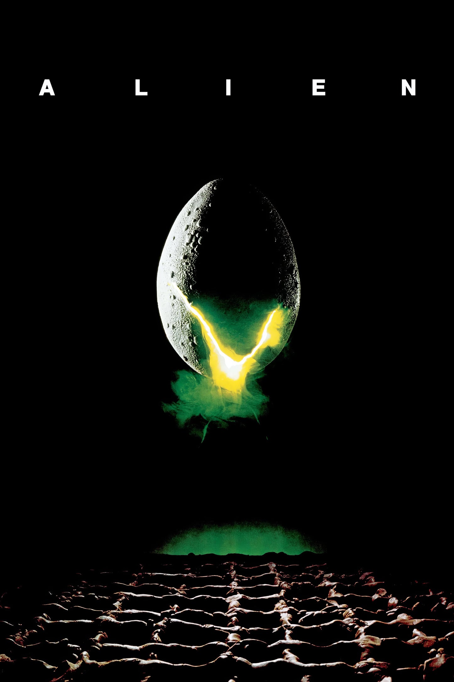 Alien (1979) Movie Magnet
