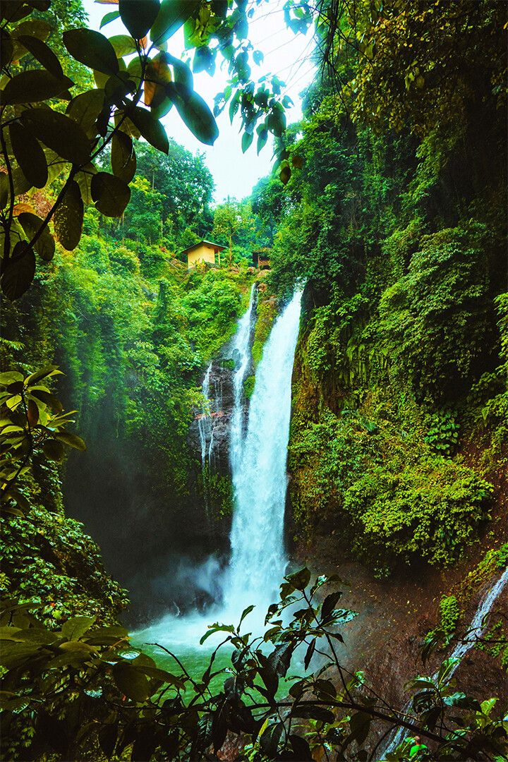 Amazing Waterfall Amazon Jungle Rock Tropical Decor Wall Jigsaw Puzzle