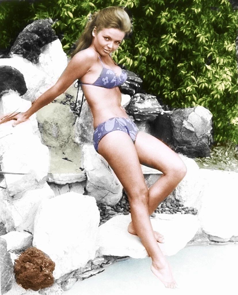 American Actress Deanna Lund Classic Pin Up Picture Photo Print 6X8