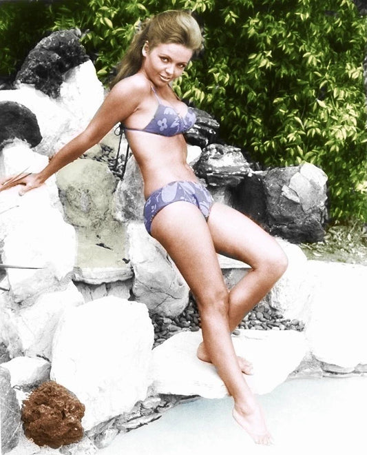 American Actress Deanna Lund Classic Pin Up Picture Magnet Print 6X8