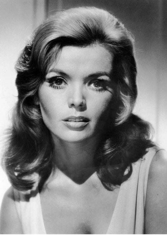 American Actress Deanna Lund Classic Magnet Picture Magnet Print