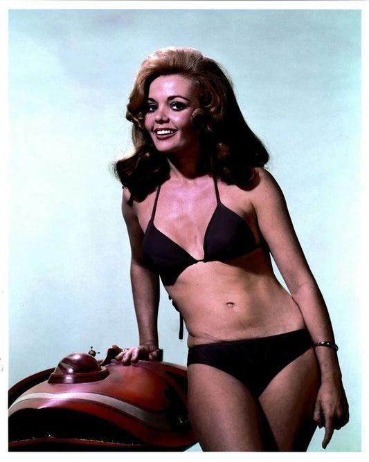 American Actress Deanna Lund Pin Up Magnet Picture Magnet Print 6X8