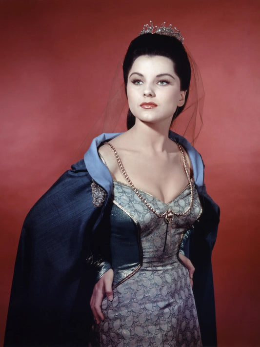 American Actress Debra Paget Classic Pin Up Picture Magnet Publicity Magnet