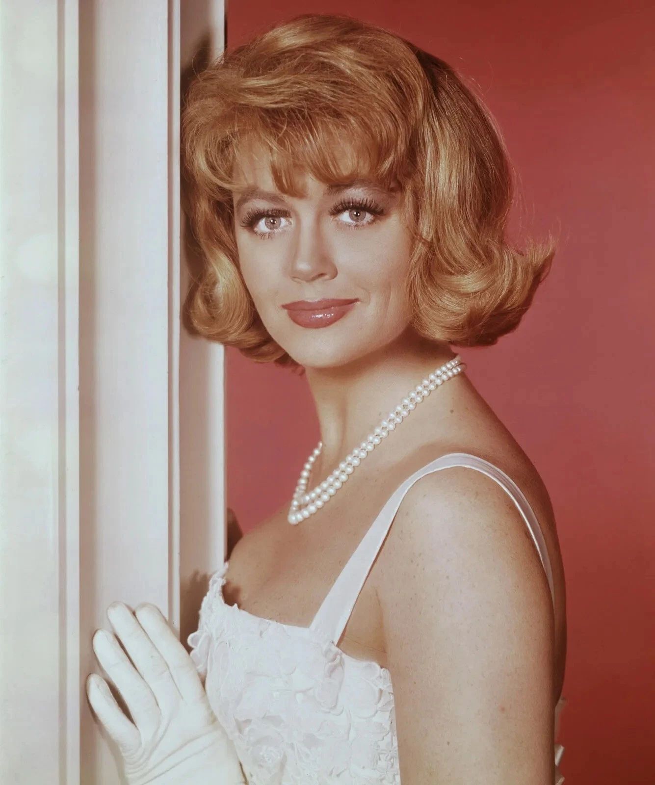 American Actress Dorothy Malone Historic Picture Poster Photo Print