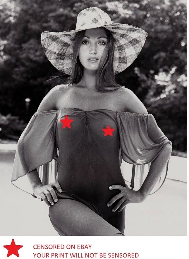 American Actress Jane Seymour Sexy Pin Up Picture Poster Publicity Photo