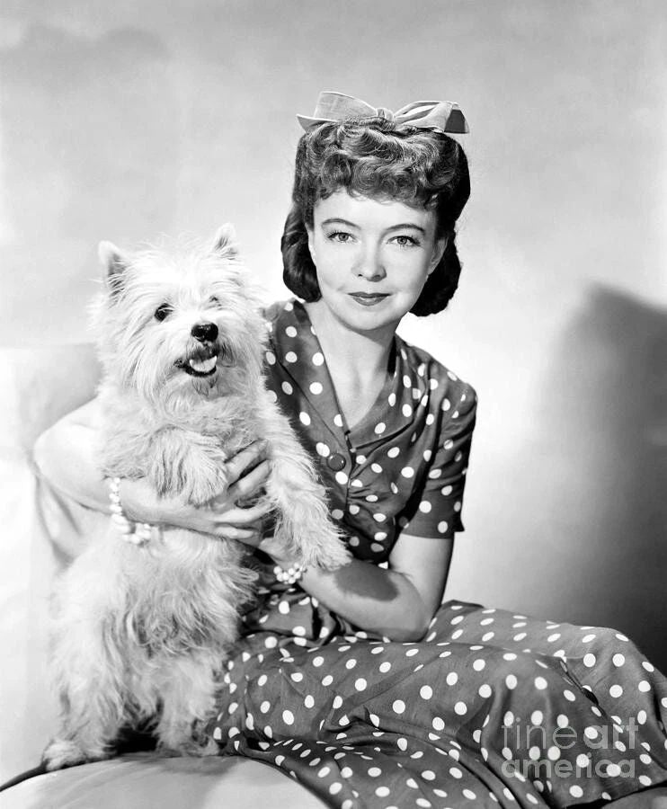 American Actress Lillian Gish Classic Portrait Picture Magnet Magnet
