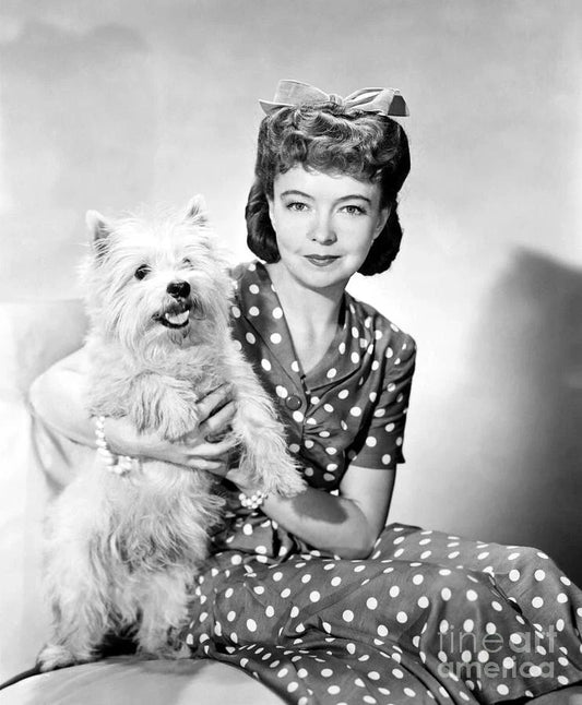 American Actress Lillian Gish Classic Portrait Picture Poster Photo