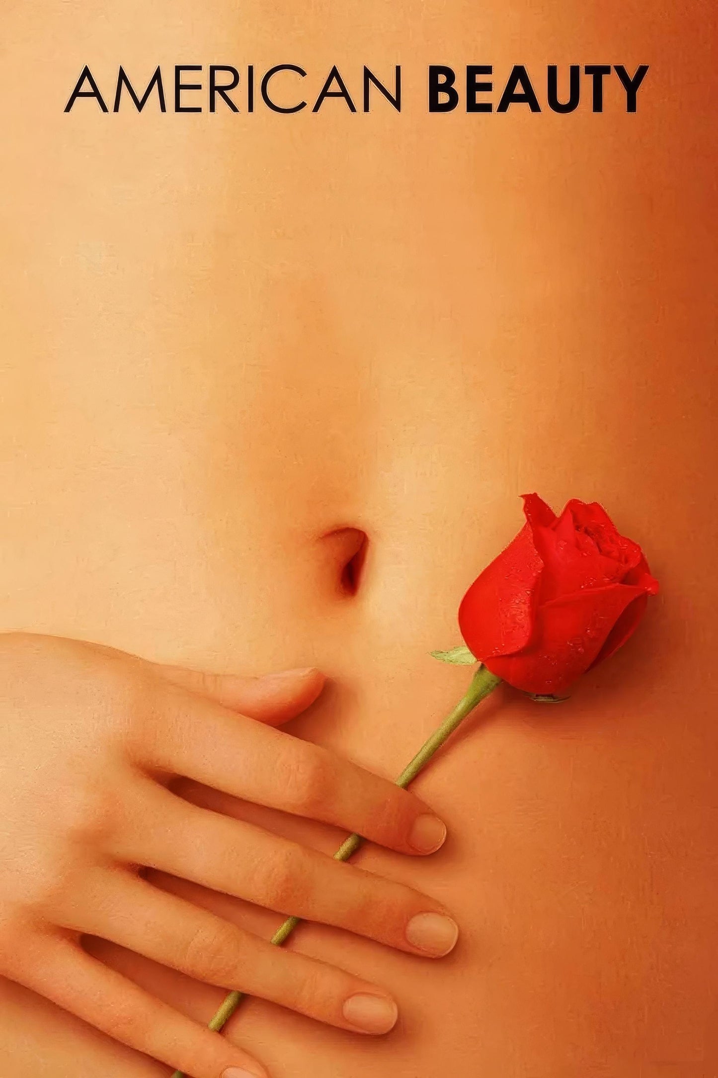 American Beauty (1999) Movie Magnet