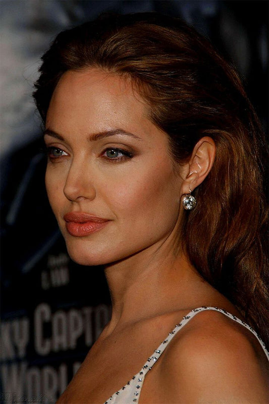 Angelina Jolie Sexy Hot Girl Actor Model Print Jigsaw Puzzle