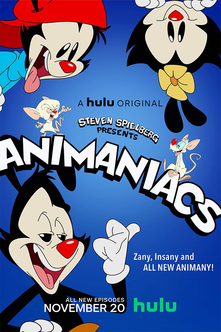 Animaniacs Movie Animation Action Painting Print Jigsaw Puzzle