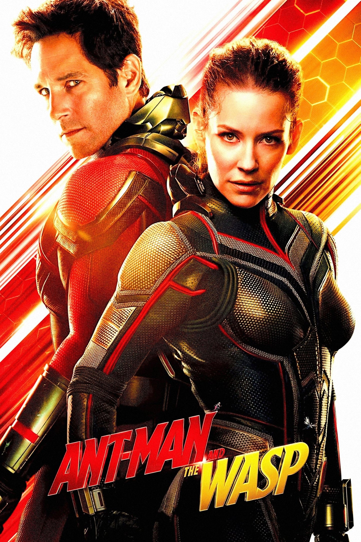 Ant Man And The Wasp (2018) Movie Poster