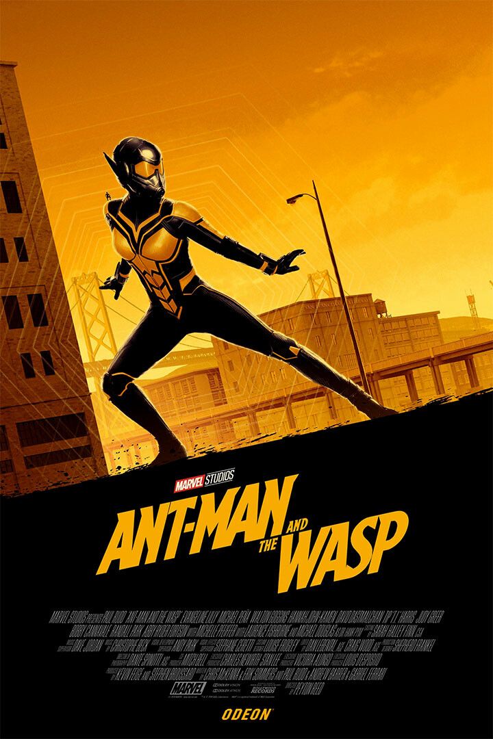 Ant Man And The Wasp Action Movie Painting Jigsaw Puzzle