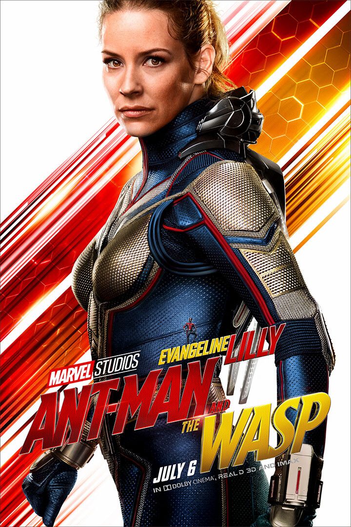 Ant Man And The Wasp Super Heroes Wall Indoor Room Outdoor Jigsaw Puzzle Jigsaw Puzzle