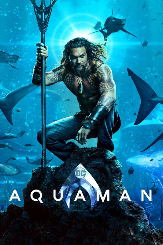 Aquaman Action Fantasy Movie Painting Jigsaw Puzzle
