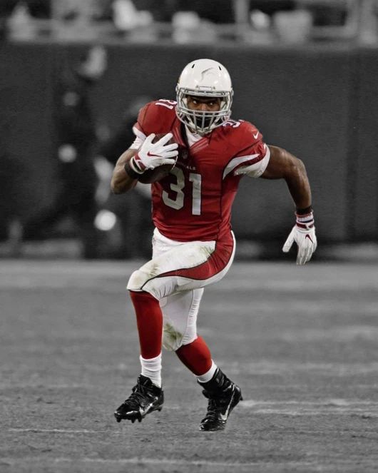 Arizona Cardinals David Johnson Glossy Magnet Print Nfl Spotlight Magnet 2