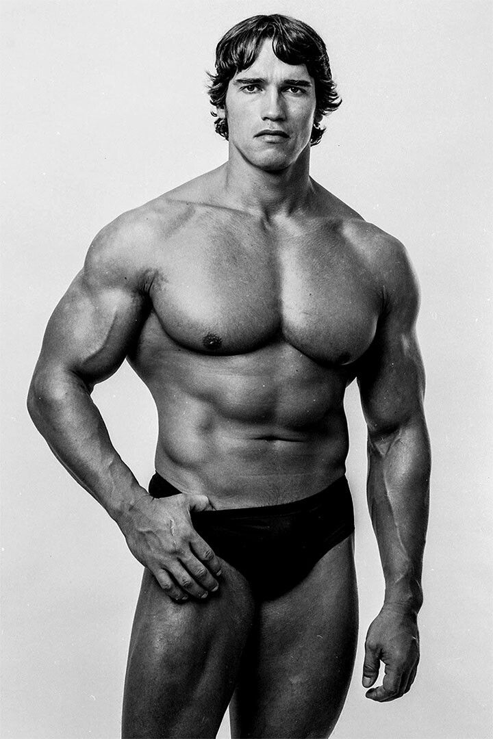Arnold Schwarzenegger Bodybuilding Fitness Gym Painting Jigsaw Puzzle