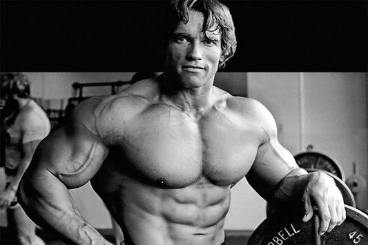 Arnold Schwarzenegger Bodybuilding Motivational Quotes Jigsaw Puzzle