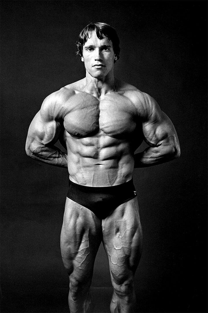 Arnold Schwarzenegger Bodybuilding Star Politician Painting Jigsaw Puzzle