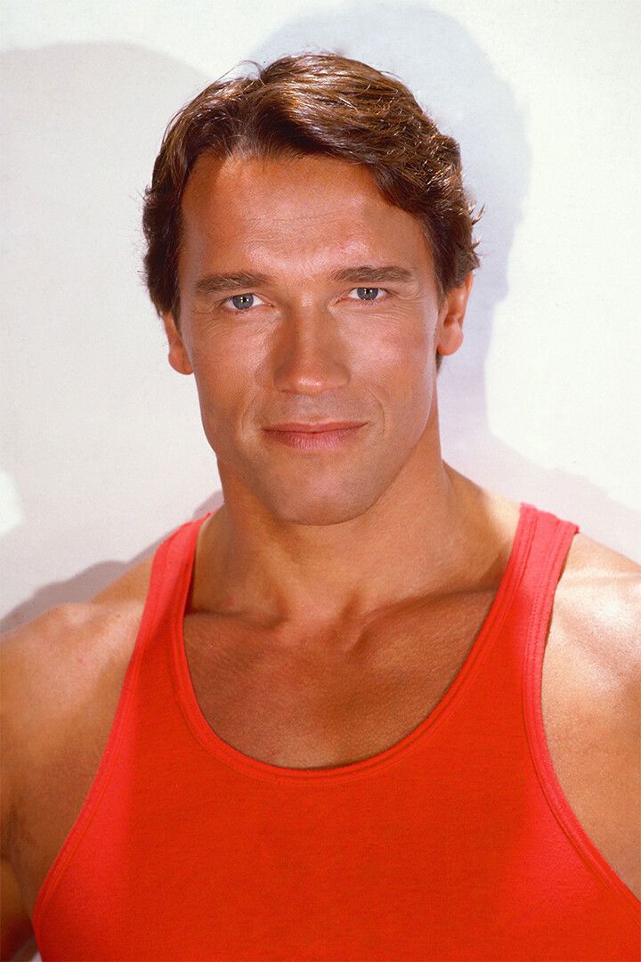 Arnold Schwarzenegger Celebrity Actress Jigsaw Puzzle