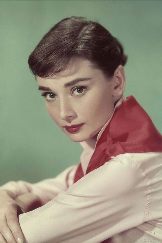 Audrey Hepburn Actress Cute Girl Painting Jigsaw Puzzle