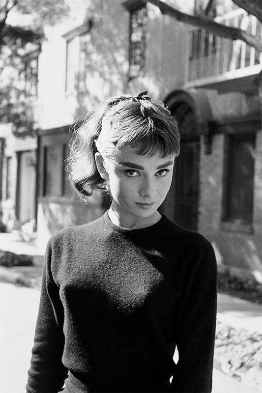 Audrey Hepburn Actress Posed Painting Jigsaw Puzzle