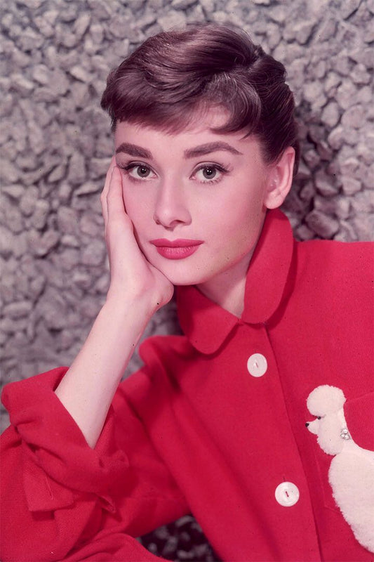 Audrey Hepburn Actress Red Clothes Painting Jigsaw Puzzle