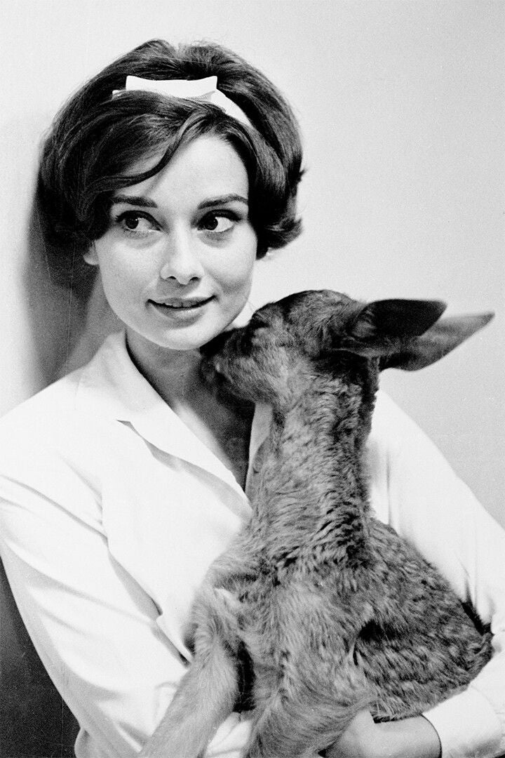 Audrey Hepburn Female Cinema Actress Idol Jigsaw Puzzle