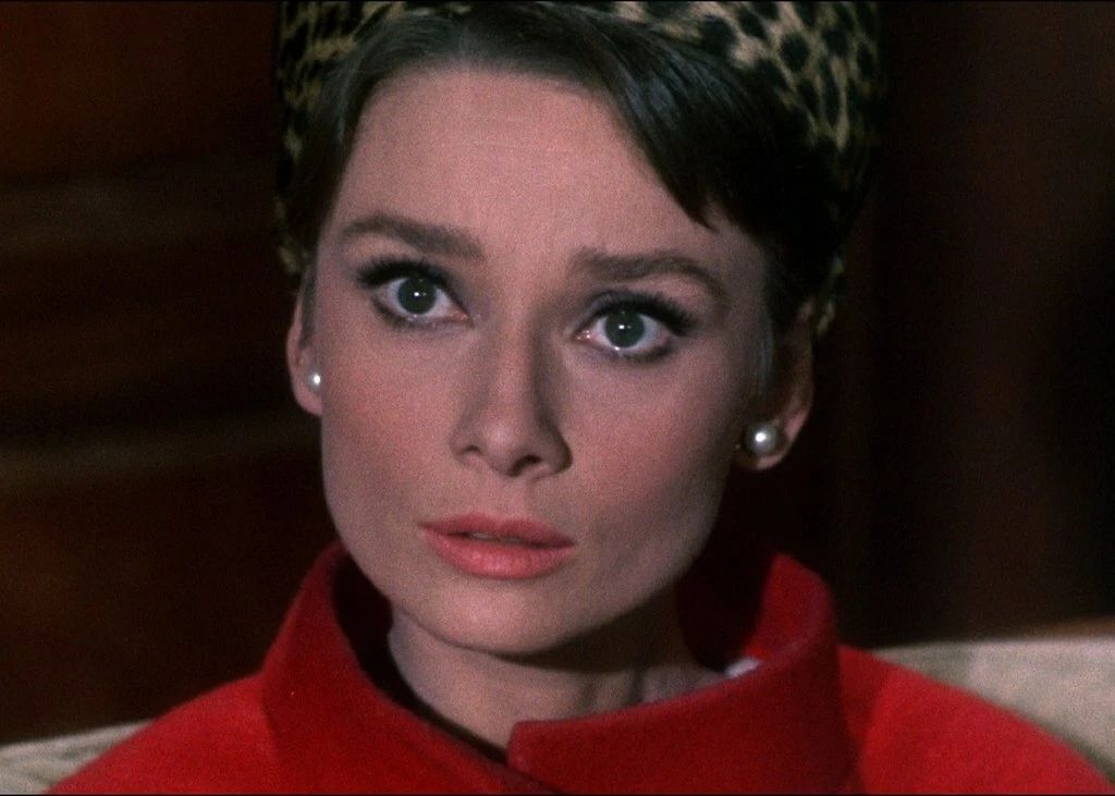 Audrey Hepburn In 1963 Classic Hollywood Movie Charade Picture Magnet