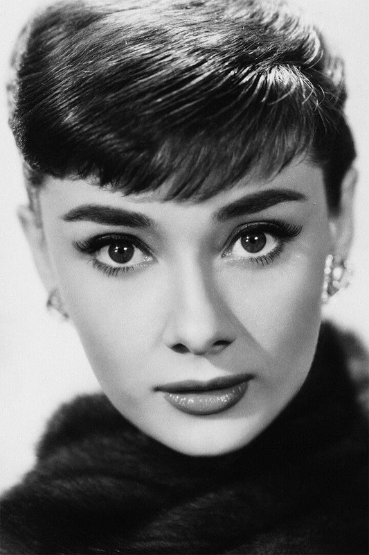 Audrey Movie Artist Icon Print Jigsaw Puzzle