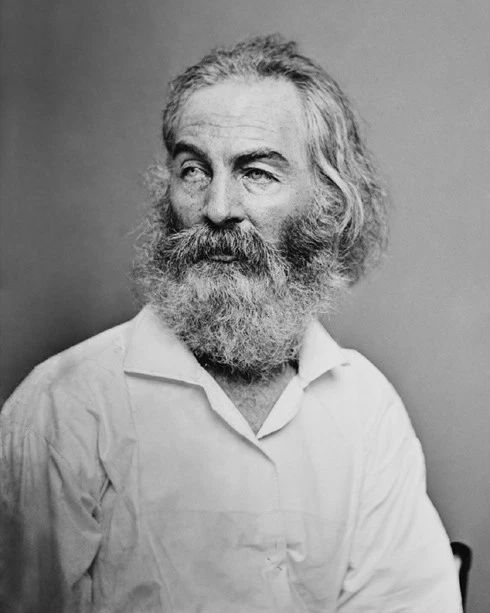 Author Journalist Walt Whitman Glossy Photo Poet Print Writer Poster