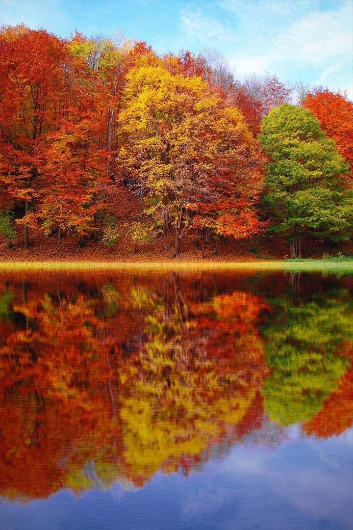 Autumn Landscape Reflection In Water Art Wall Decor Jigsaw Puzzle