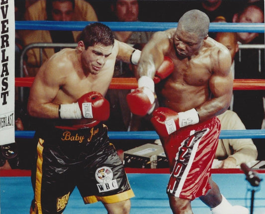 Baby Joe Mesi Vs David Izon Photo Boxing Picture
