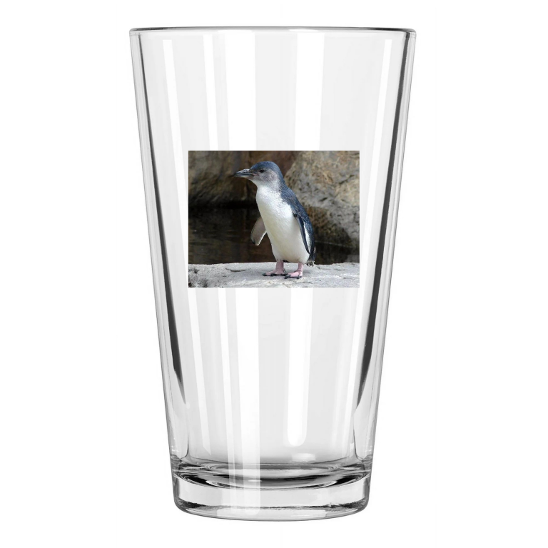 Baby Penguin Photo Artic Nature Wildlife Winter Pint Beer Drinking Glass