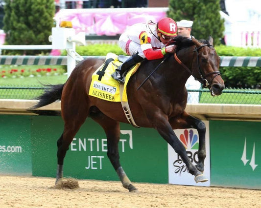 Backyard Heaven Magnet Horse Racing Picture