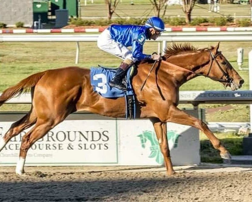 Banishing Photo Horse Racing Picture Jockey