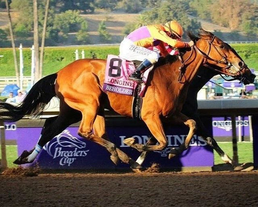 Beholder Magnet Horse Racing Picture