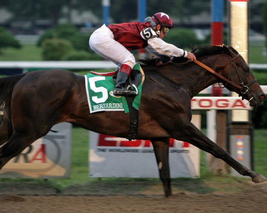 Bernadini Photo Horse Racing Picture Race Action